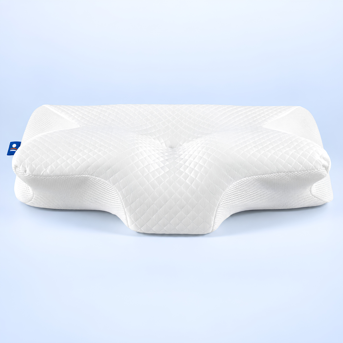 Axis™ Pillow